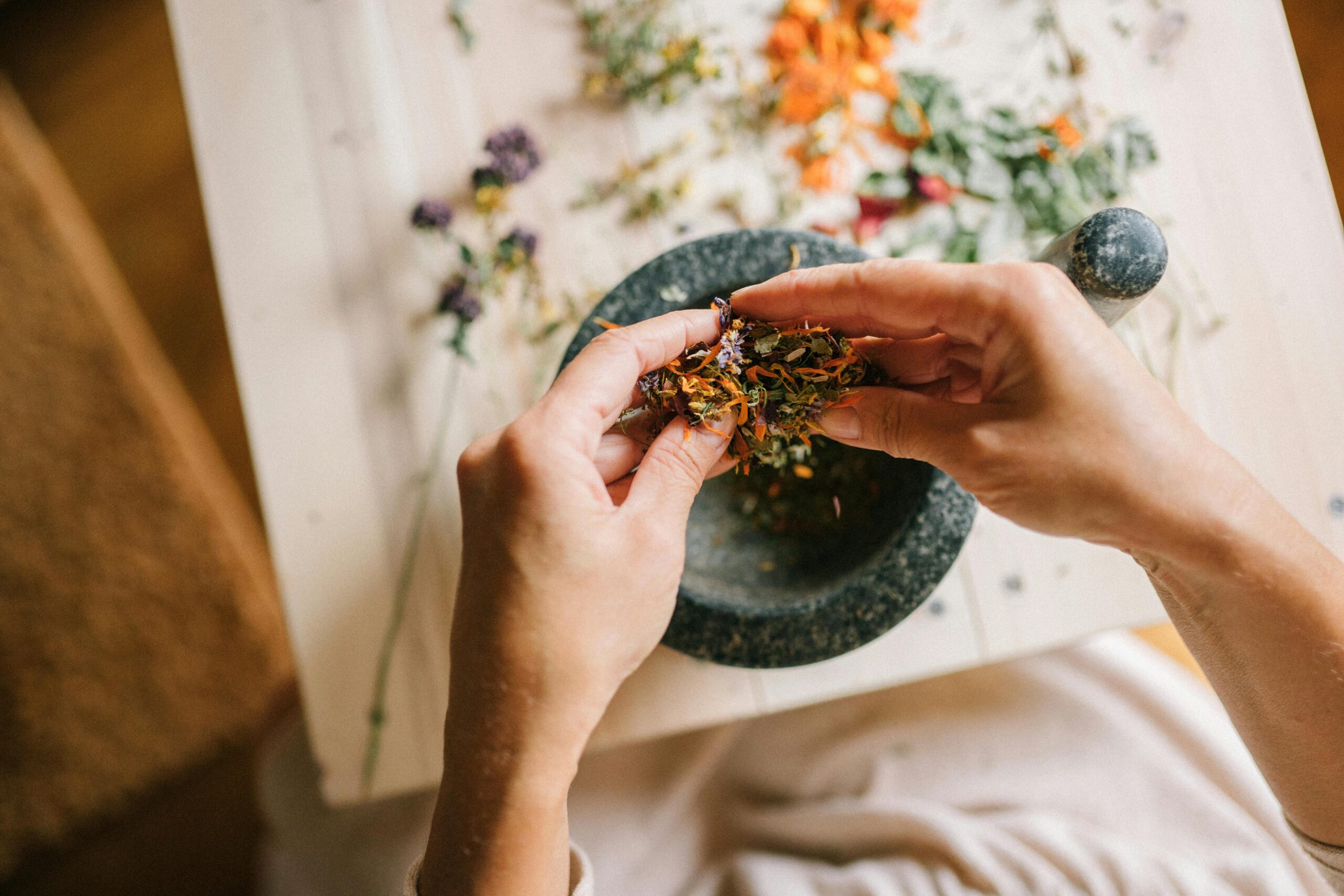 Top 10 Forest Bathing, Grounding, and Nature Healing Explained
