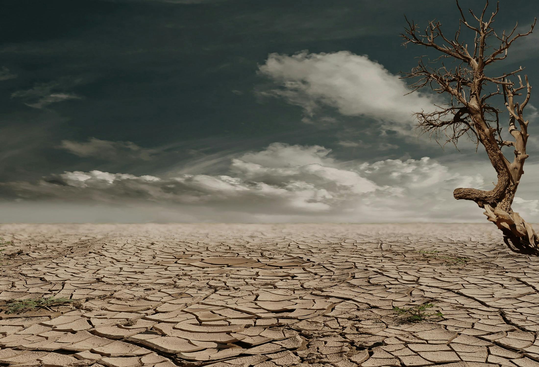 10 Shocking Climate Changes You’re Not Hearing About!