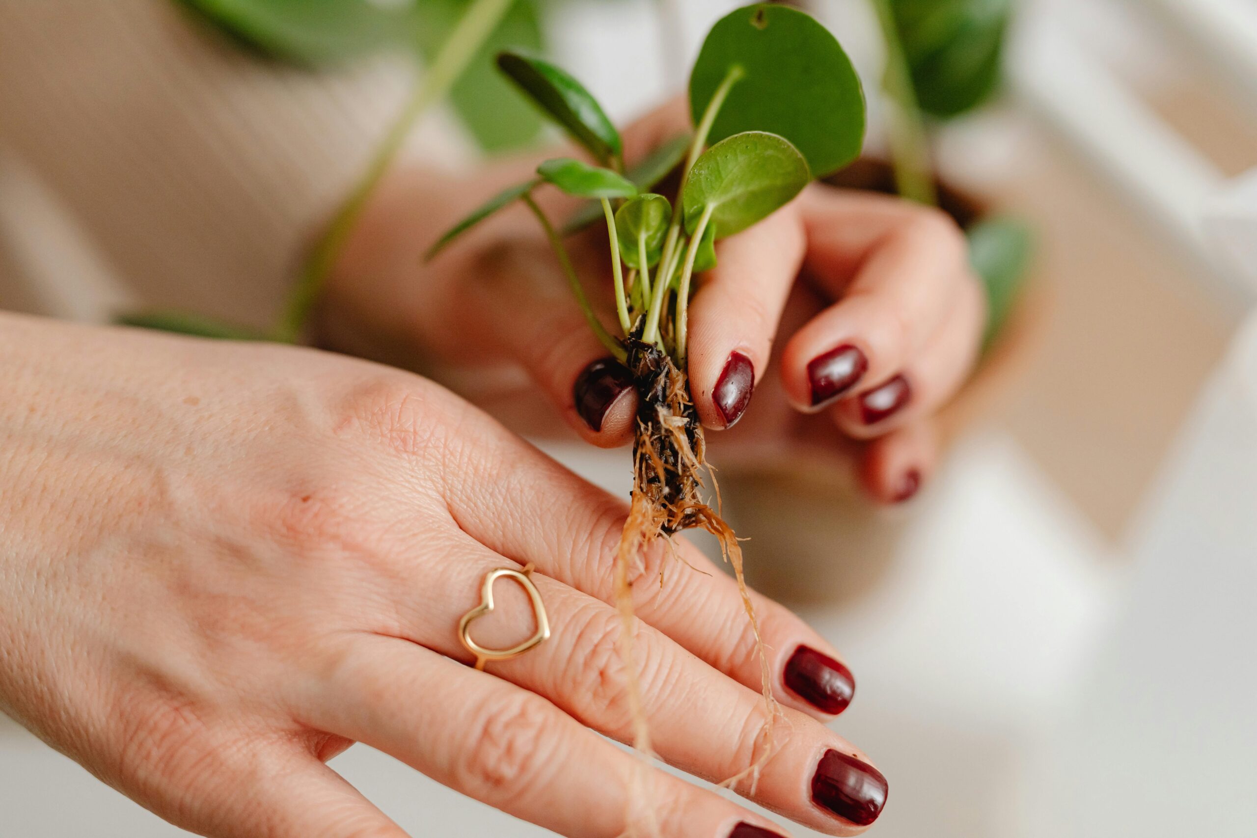 10 Ways You’re Harming the Planet Without Realizing It!