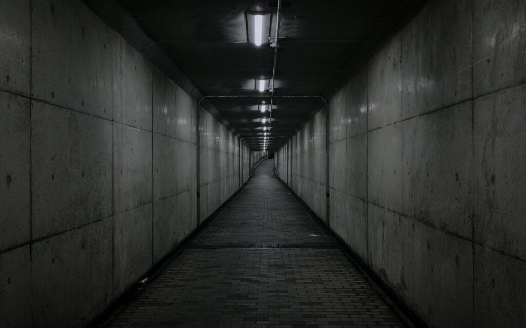 10 Silent Revolution