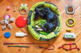 Top 10 Sustainable Pet Products