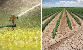 Water Scarcity in America: How Droughts Are Reshaping Economies,