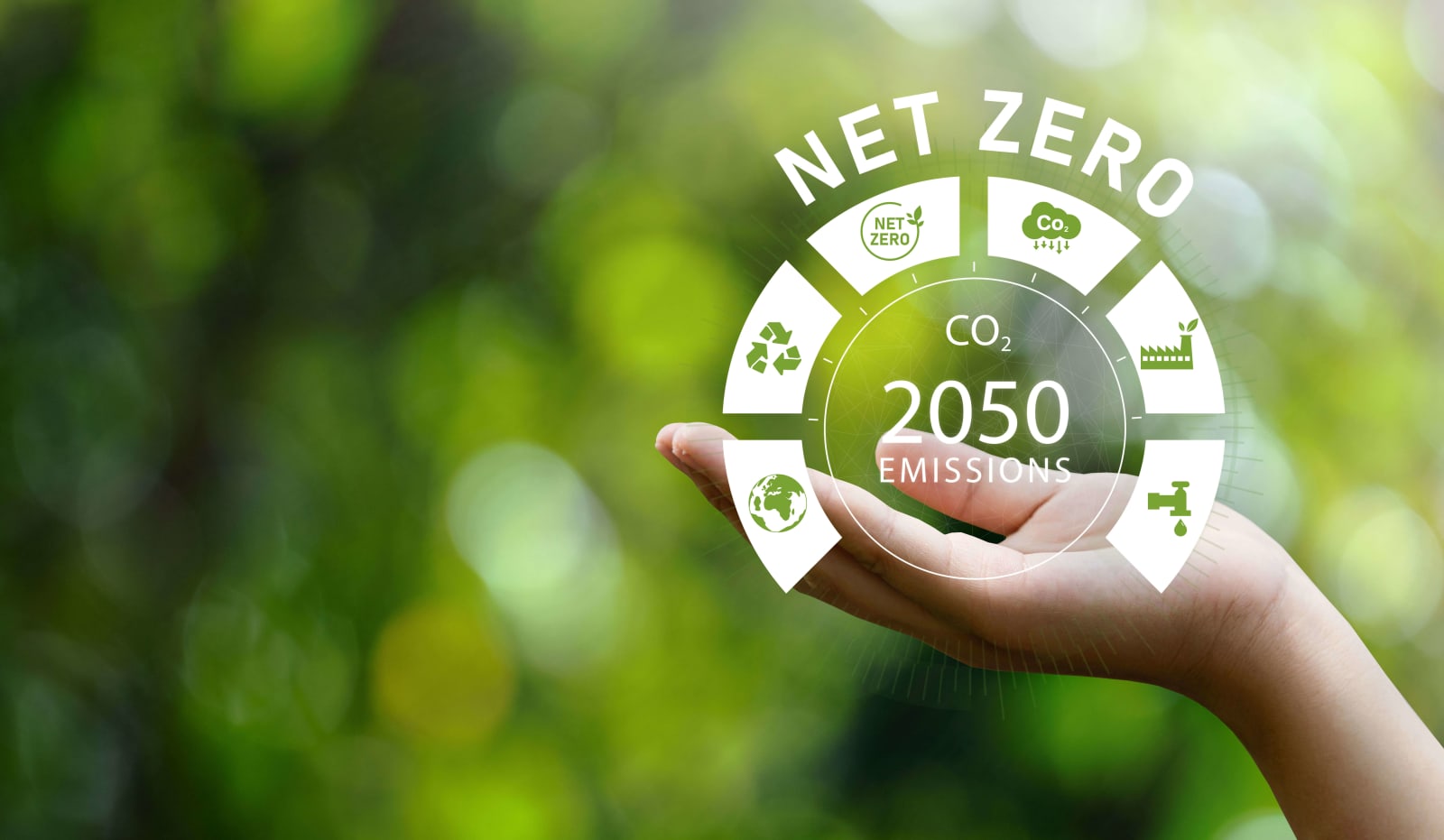 Can the World Reach Net Zero by 2050? A Global Reality Check