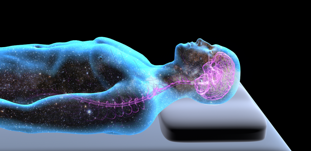 Why Sleep Is Essential for the Human Brain and Mental Survival