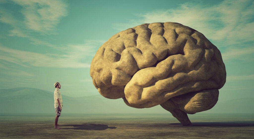 Inside the Mind: The Story Before the Decision Was Made