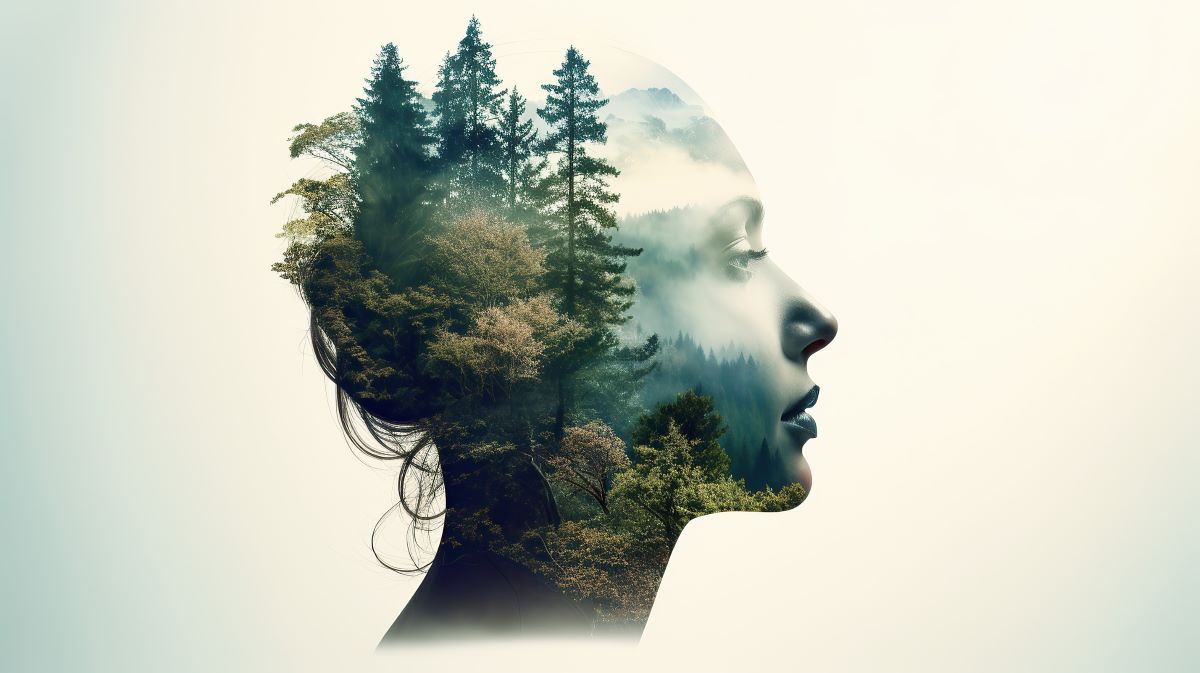 Can Nature Reset Your Nervous System? The Science Behind Tree Contact