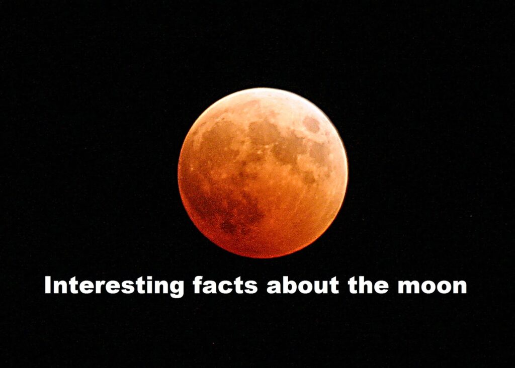 How Important Is the Moon in Our Life? Amazing Facts You Should Know