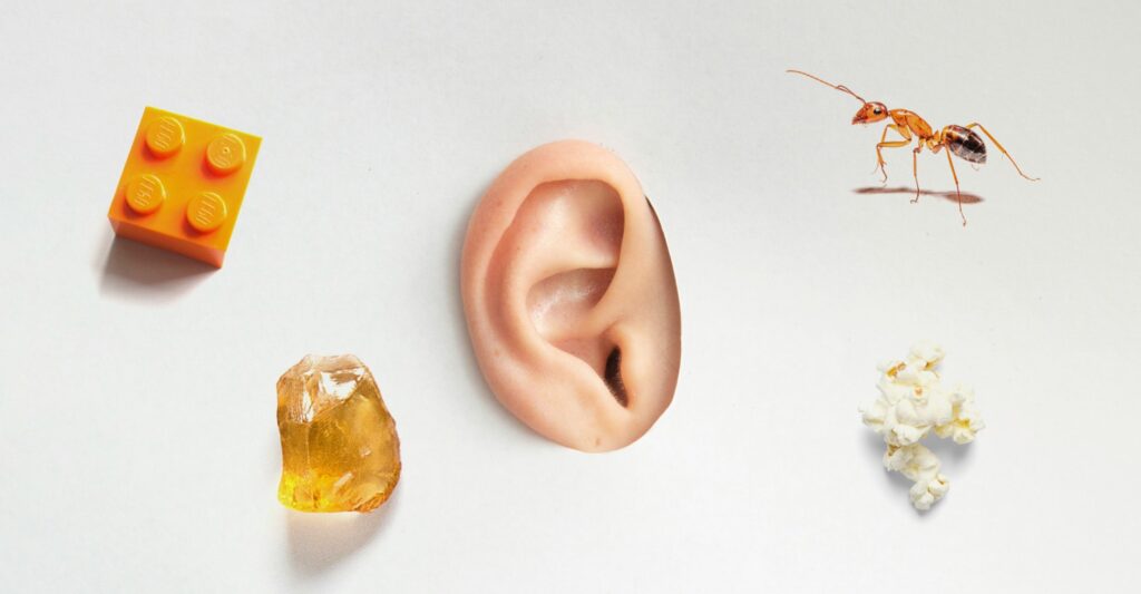 Shocking Fact About Stones in Our Ears