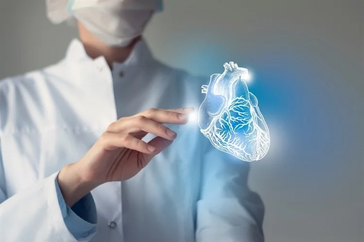 Bio-Engineered Organs Industry Rising