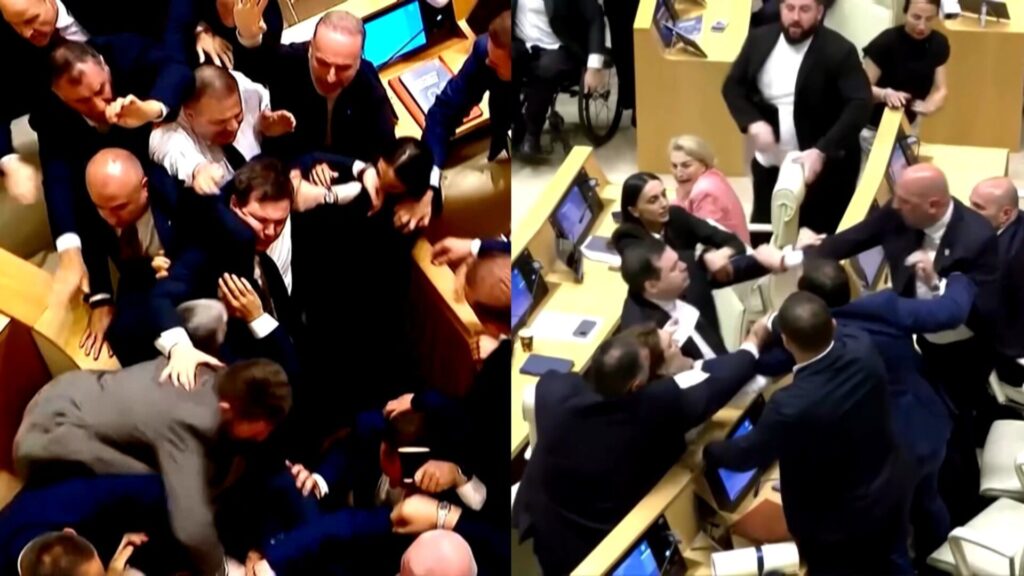 Georgia Parliament Debate Ends in Fistfight Chaos
