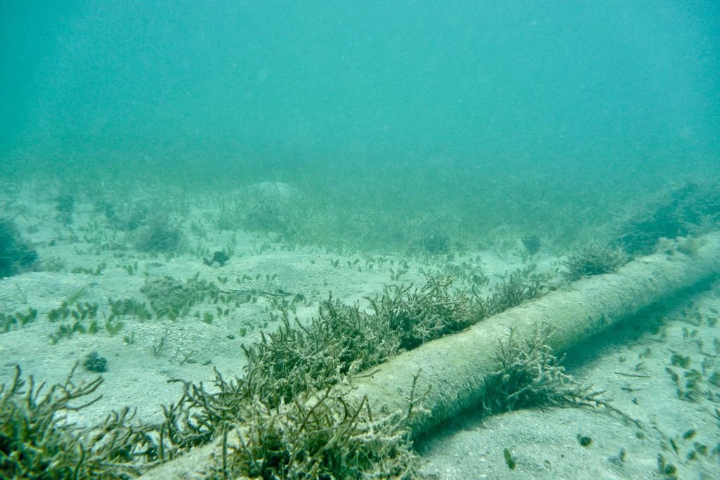 Underwater Internet Mystery: Pacific Ocean Discovery