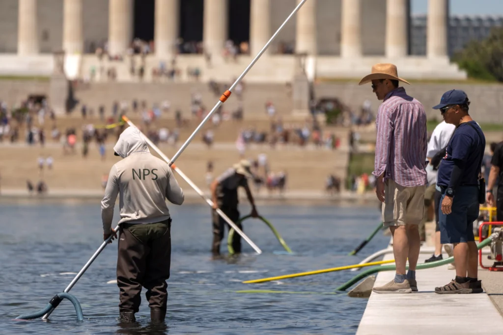 Trump Pushes Vandalism Claims Over Pool Damage