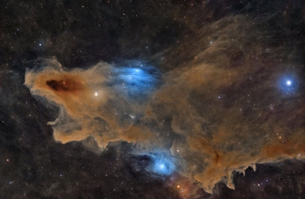 Shark Nebula 2026 Wins Astronomy Photographer of the Year