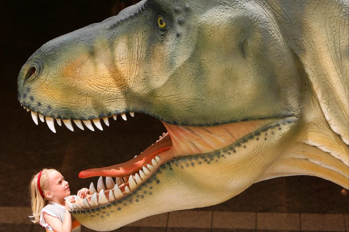T. Rex Warm-Blooded: Scientists Reveal Dinosaur Body Temperature