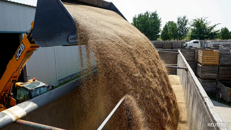 World Food Prices 2026: El Niño and War Fuel a Global Food Crisis