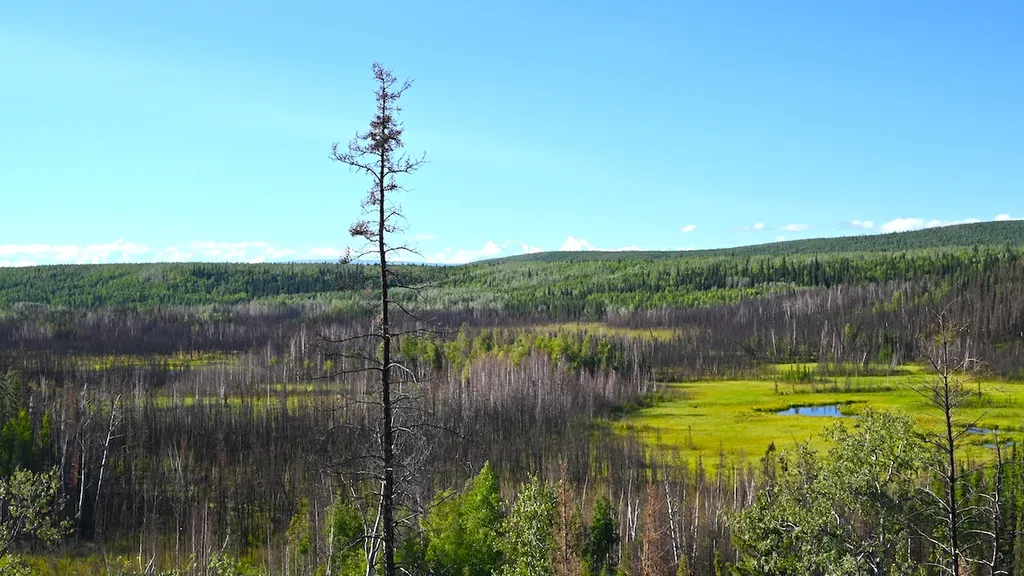 Archaeologists Find a Prehistoric Dwelling in Alaska What Did Its First Residents Leave Behind?